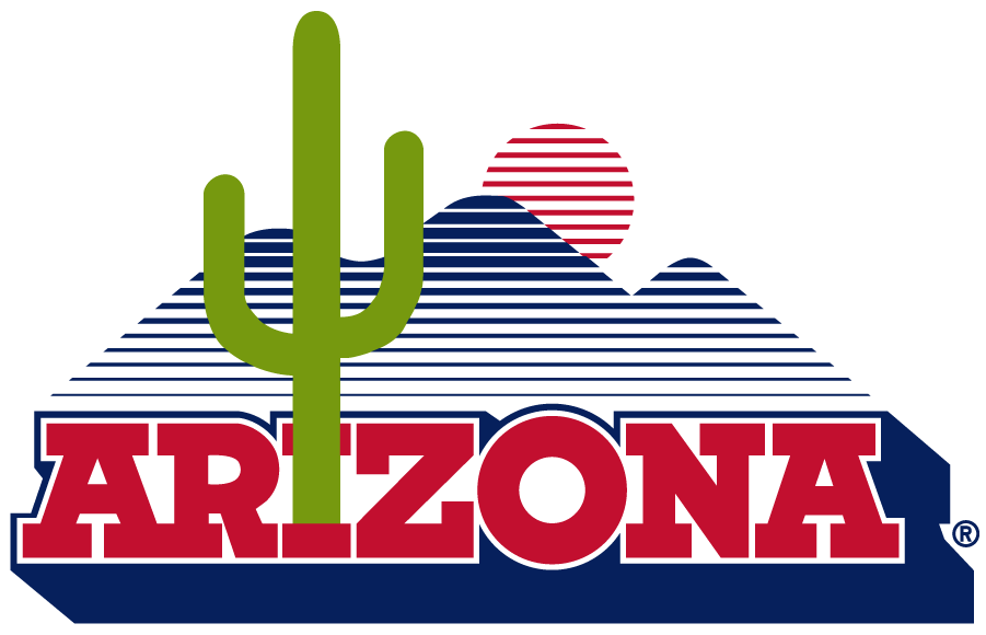 Arizona Wildcats 1989-2013 Secondary Logo t shirts iron on transfers